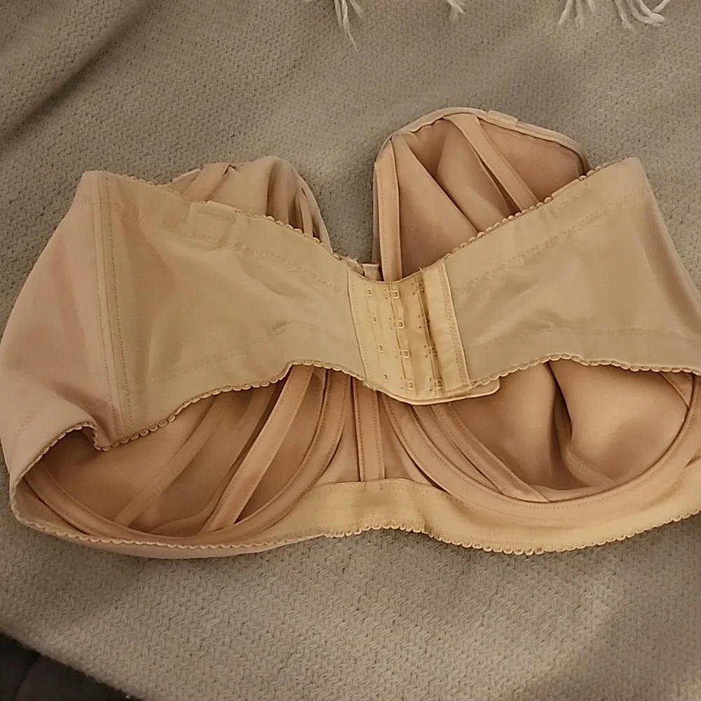 Elila Strapless Bra - Picture 4 of 6